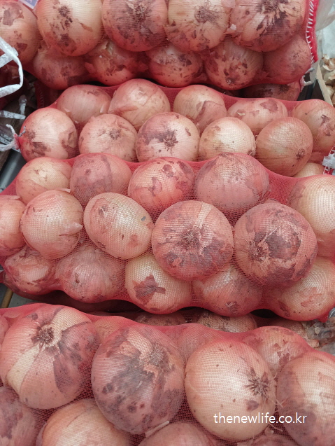 망에 담겨 쌓여 있는 마른비만 예방음식 양파