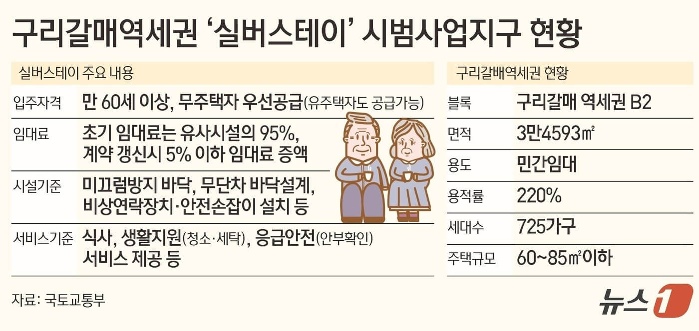 구리갈매역세권 실버스테이 시범지구 현황