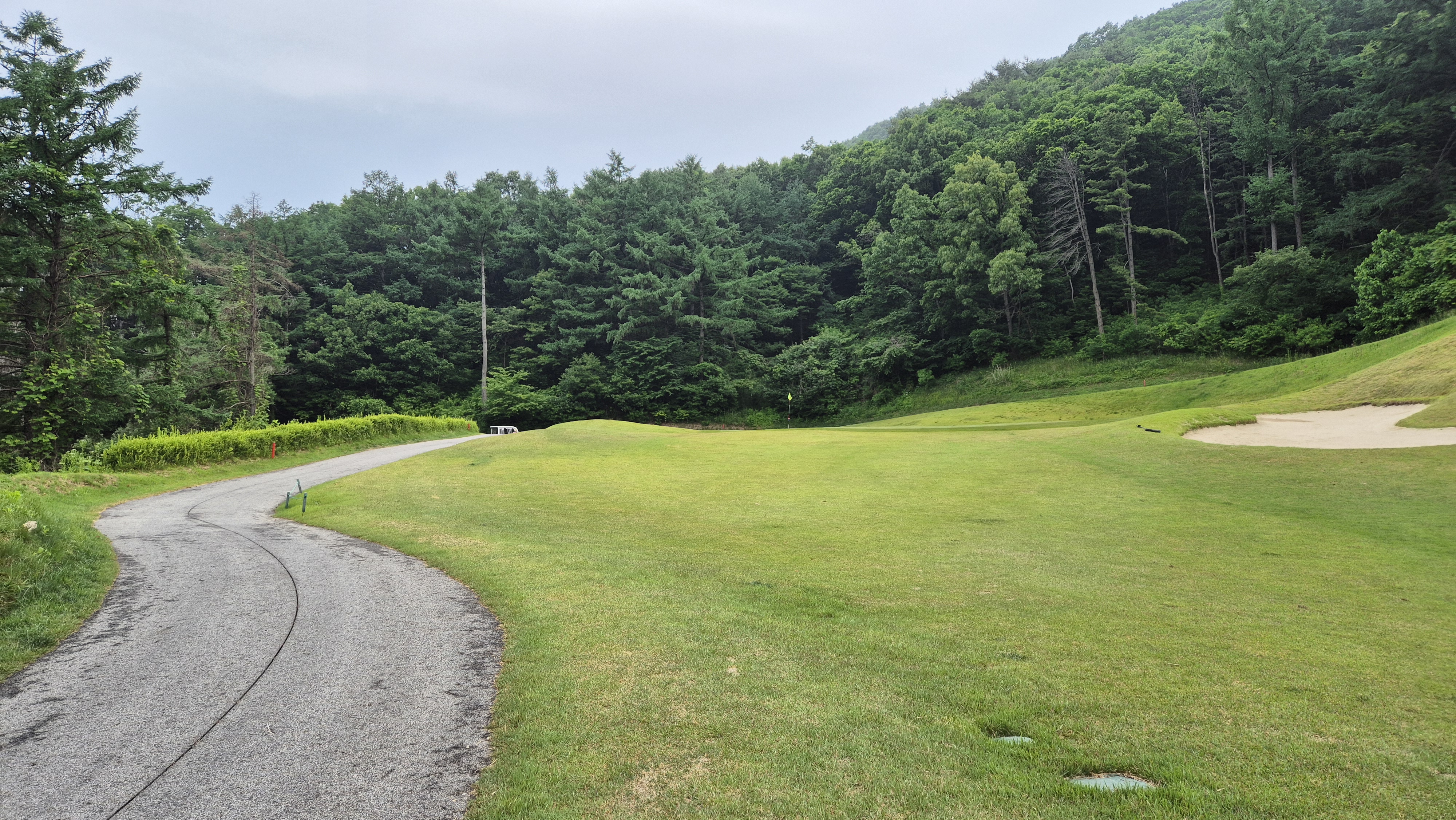 샴발라cc 라운드 후기