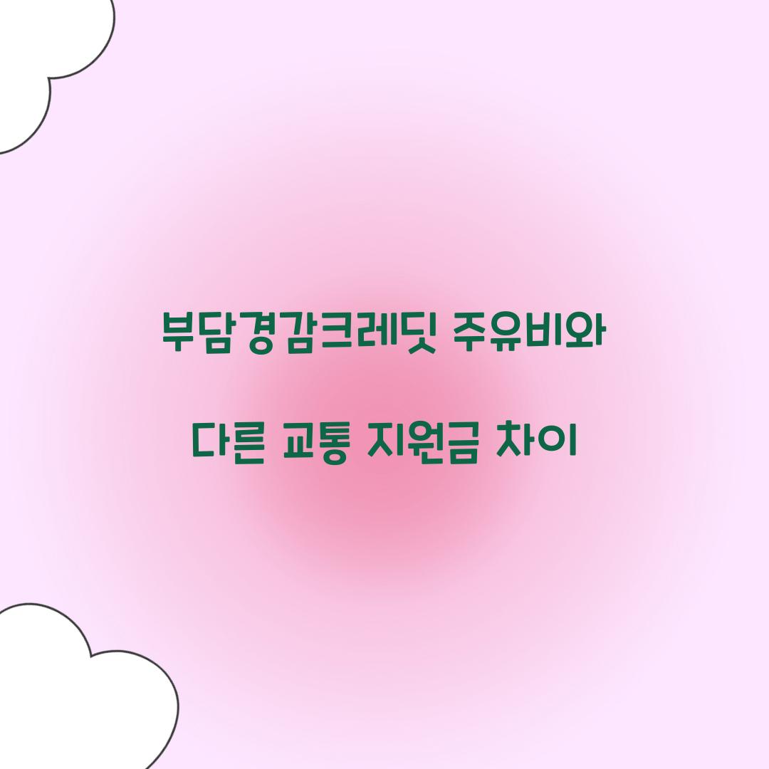 부담경감크레딧 주유비와 다른 교통 지원금 차이