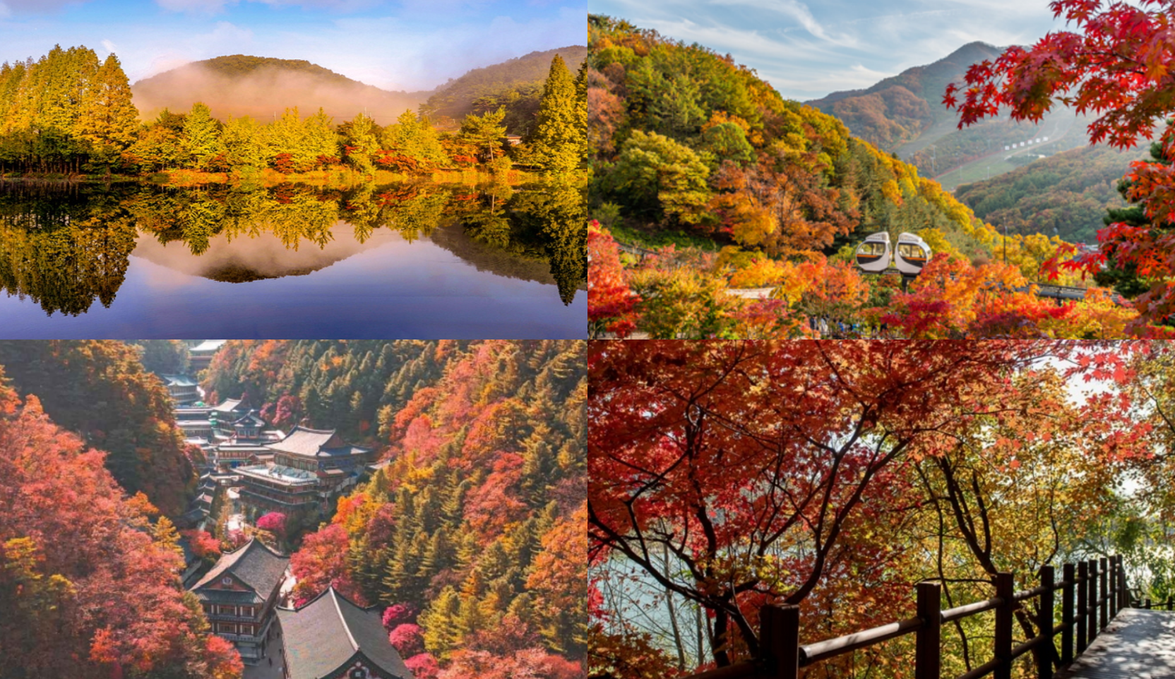 가을 단풍여행 추천지