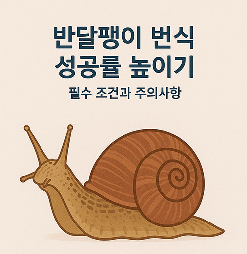 완달팽이 번식 성공률 높이기