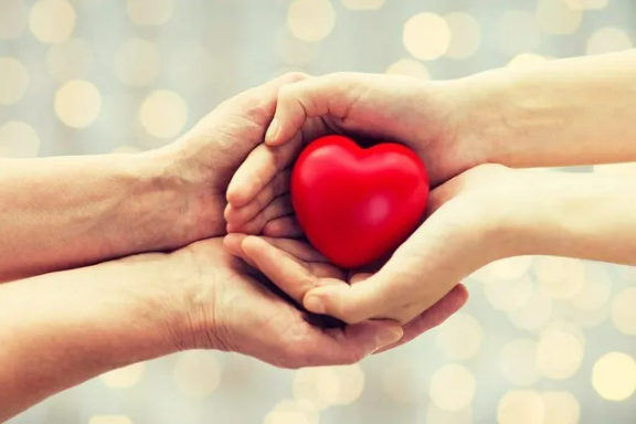 콘딤젤,콘딤젤 사용법,콘딤젤 구매처,콘딤젤 효과,살정젤,외용 진통젤