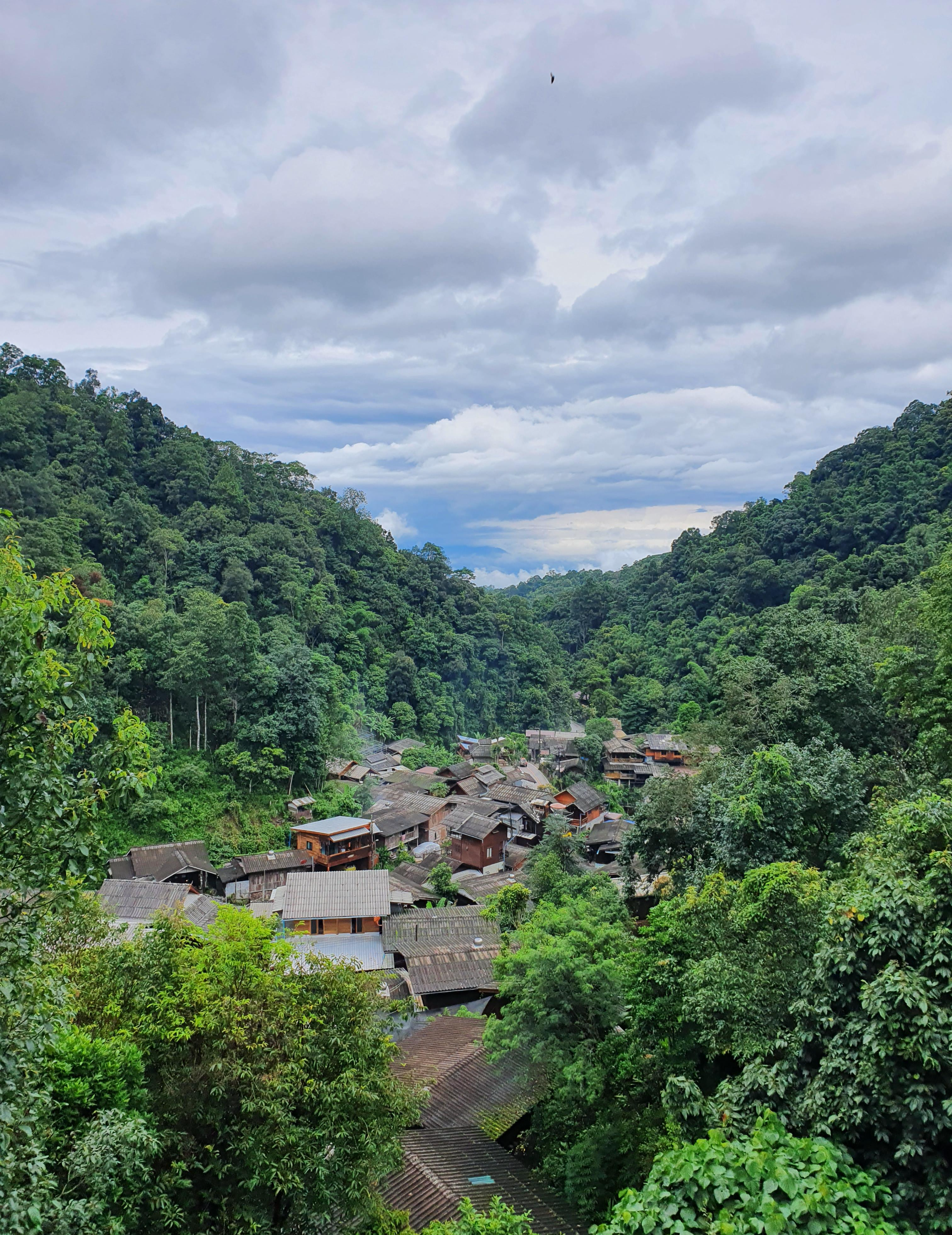 Maekampong