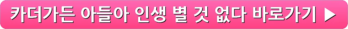 카더가든 아들아 인생 별 것 없다_4