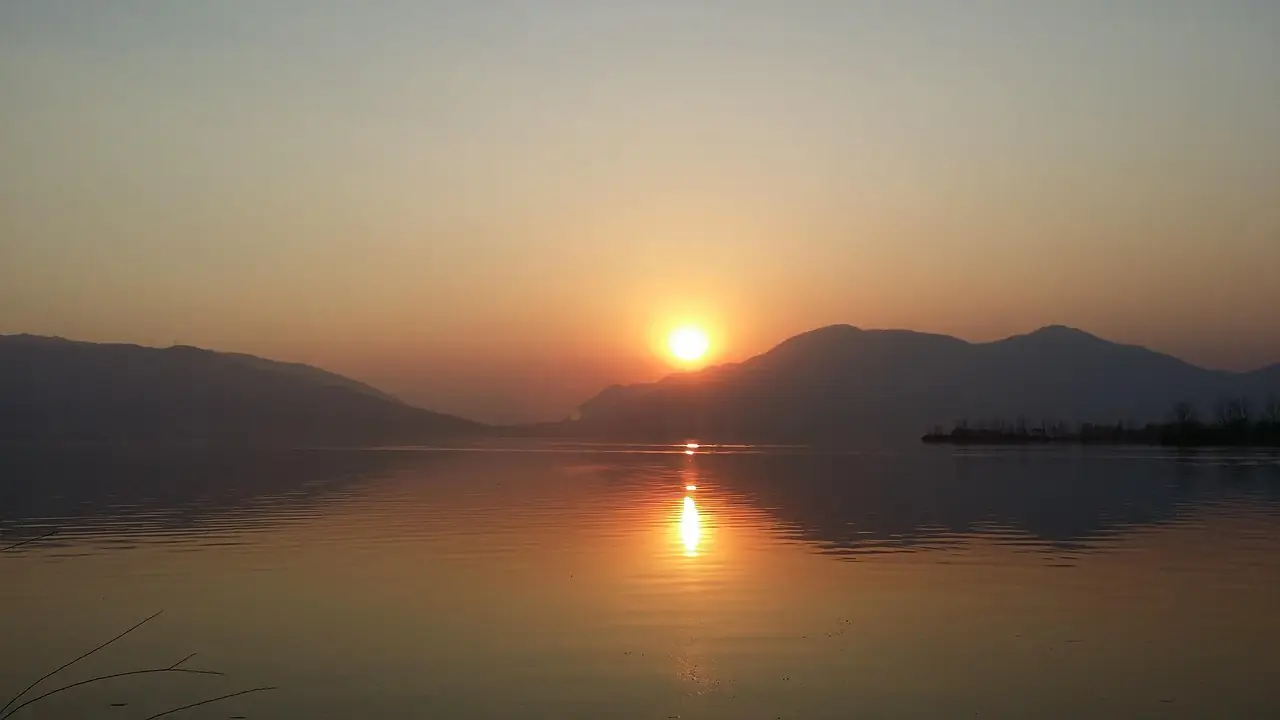 동충하초 효능 제대로 알기