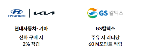 현대 그린 카드 알아보기