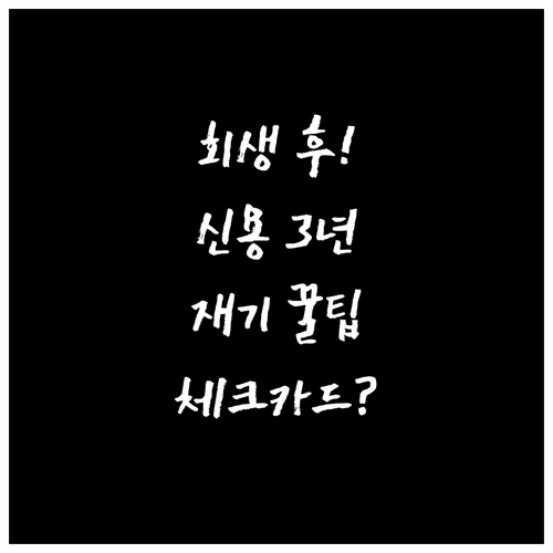 개인회생자의 신용 재기 3년 계획 체..