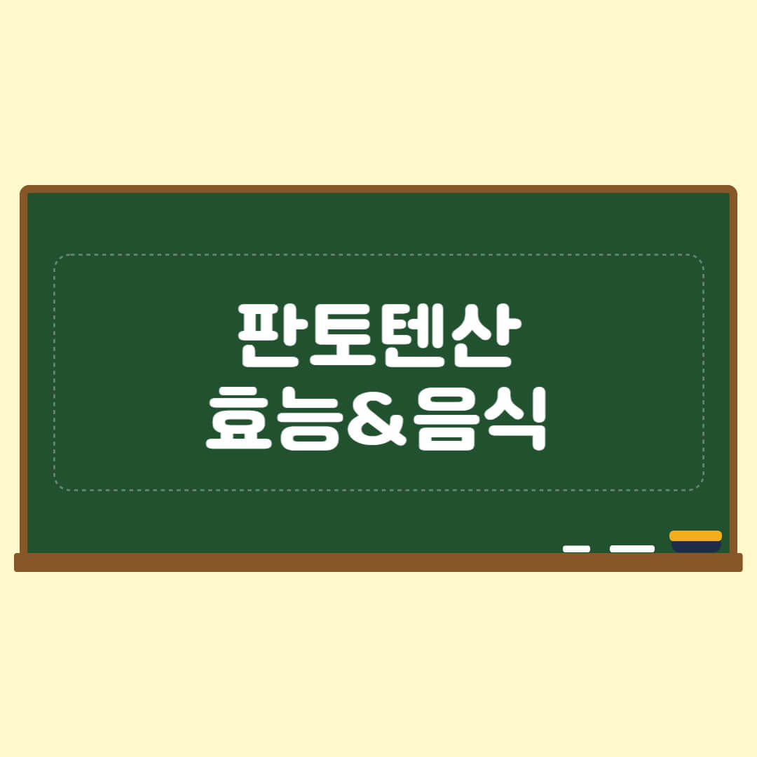 판토텐산 효능 음식