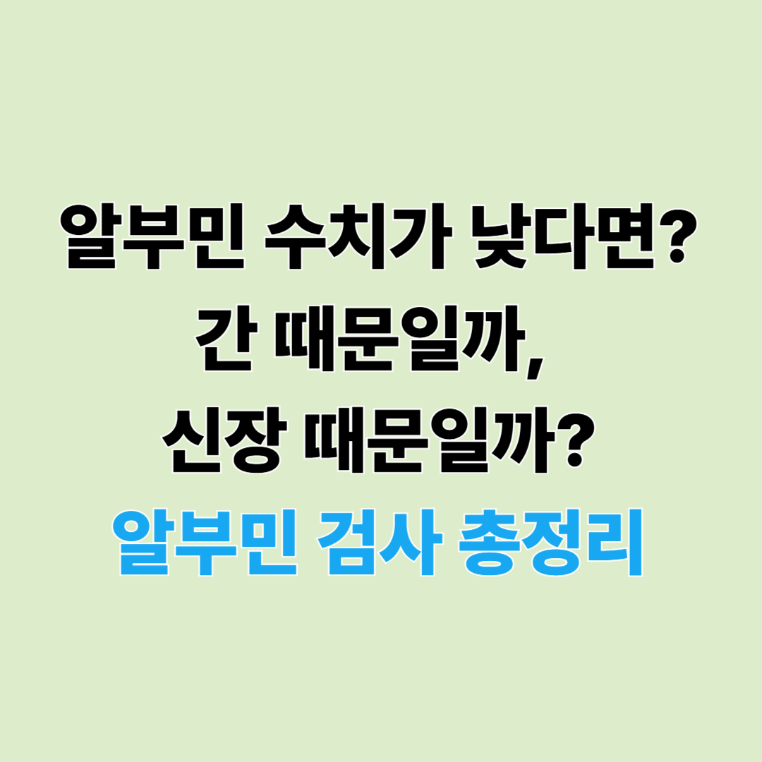 알부민 검사 총정리|알부민 수치가 낮거나 높으면? 간·신장 건강과의 관계