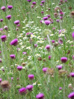 2024년 장마기간