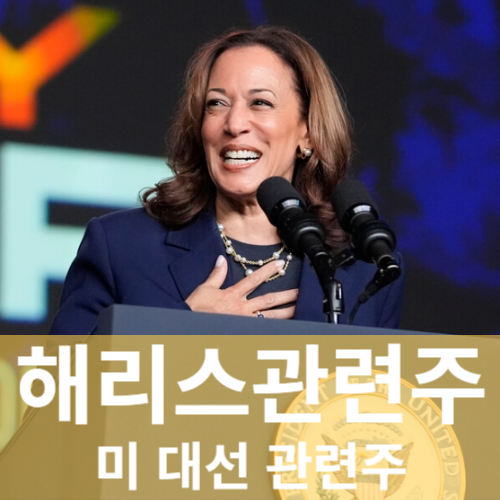 해리스관련주 수혜주 Top4ㅣ미대선테마