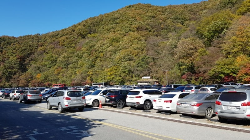 내장산 주차장