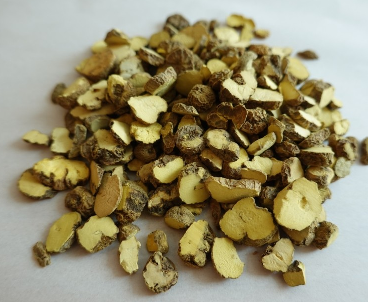 모티리톤정 성분 현호색