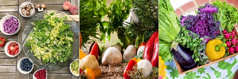 자신에게 맞는 채식주의자 유형을 확인하세요.