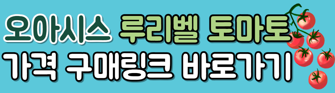 루비벨-토마토-가격-맛-파는곳-미백-자외선차단-효능