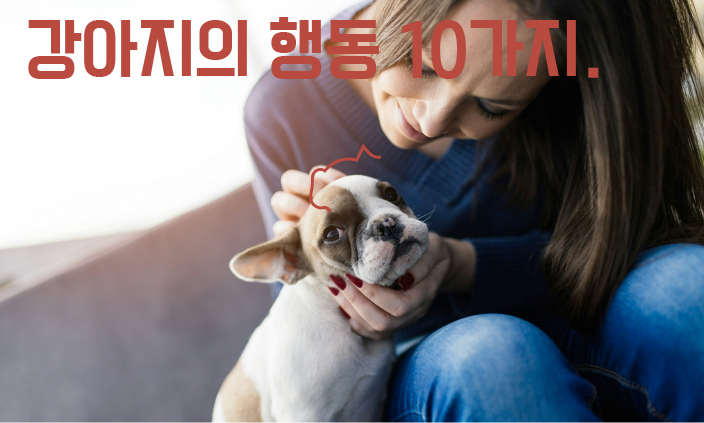 강아지-보호자
