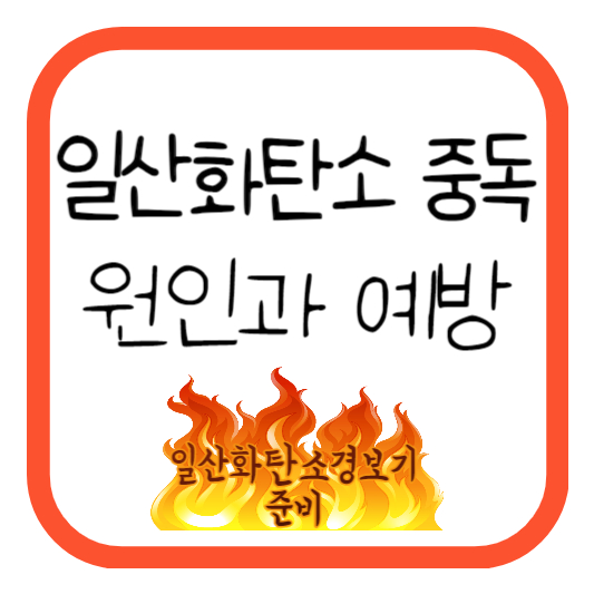 일산화탄소 중독 원인과 예방