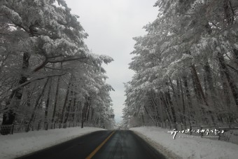 겨울 여행 국내 BEST 6 - 제주도