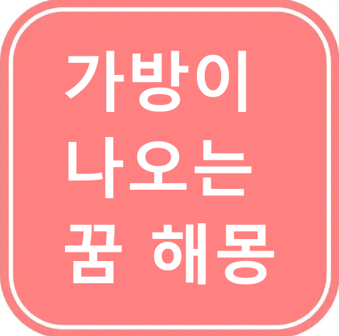 가방이 나오는 꿈에 대한 썸네일