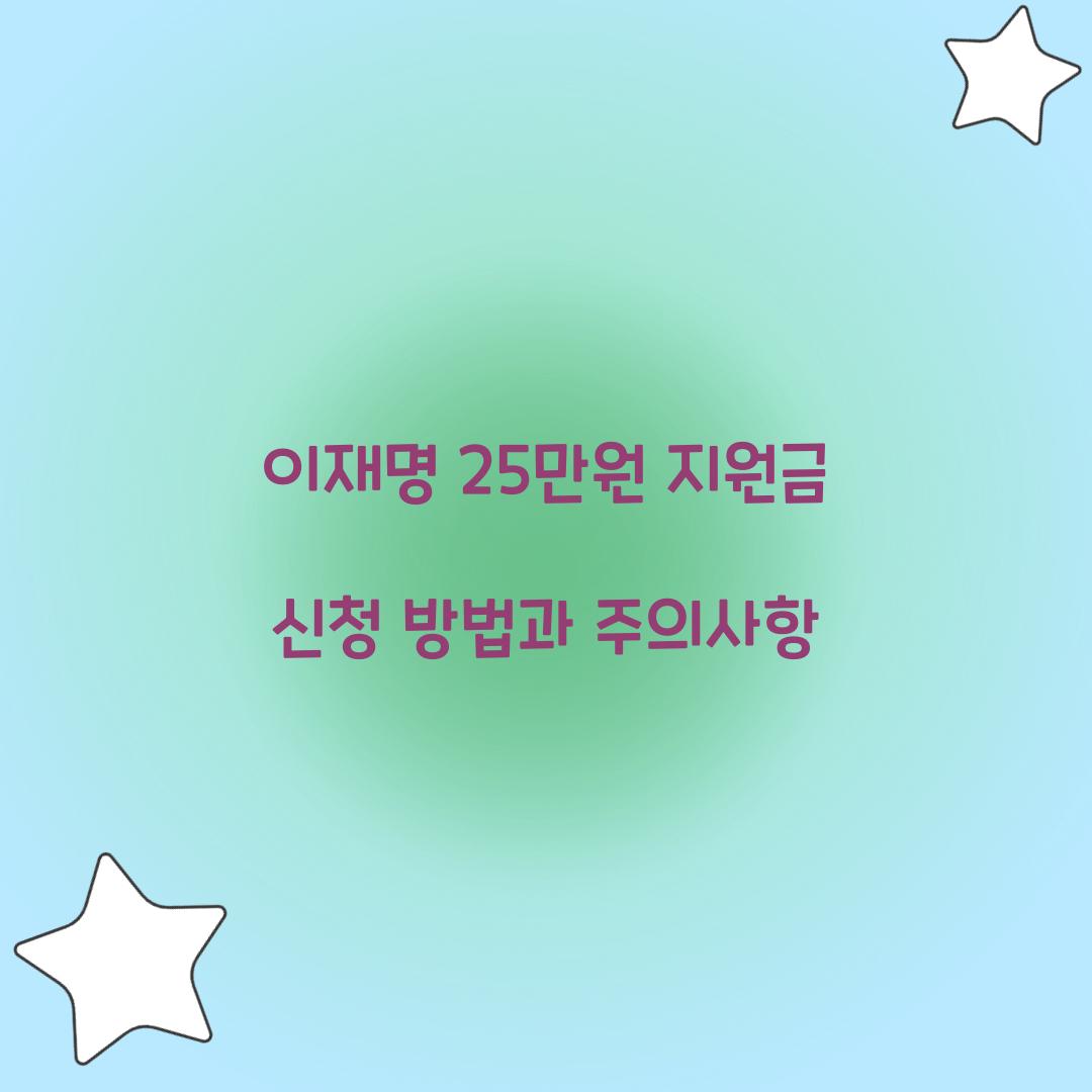 이재명 25만원 지원금