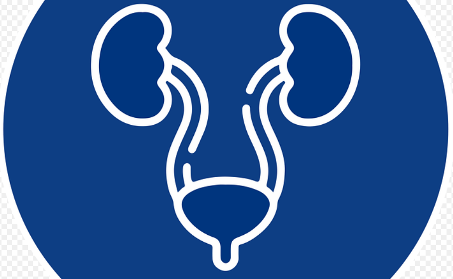 신장이 안 좋으면 나타나는 증상과 신장에 좋은 음식 - 4