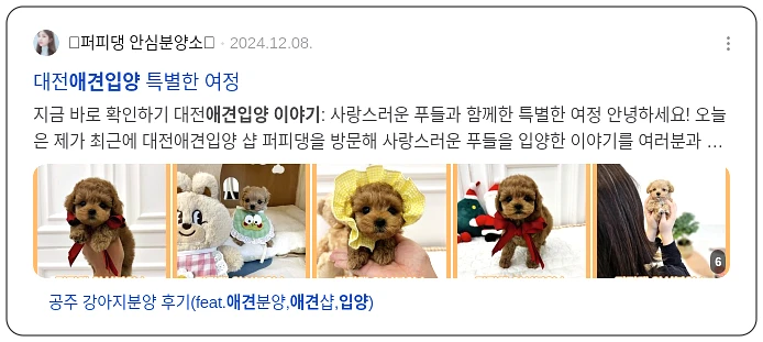 애견 입양 이야기_3_subsection