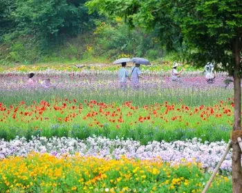 동해 무릉 별유천지_5