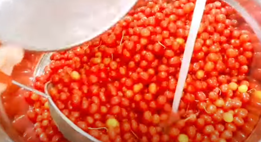 보리수효소만드는법