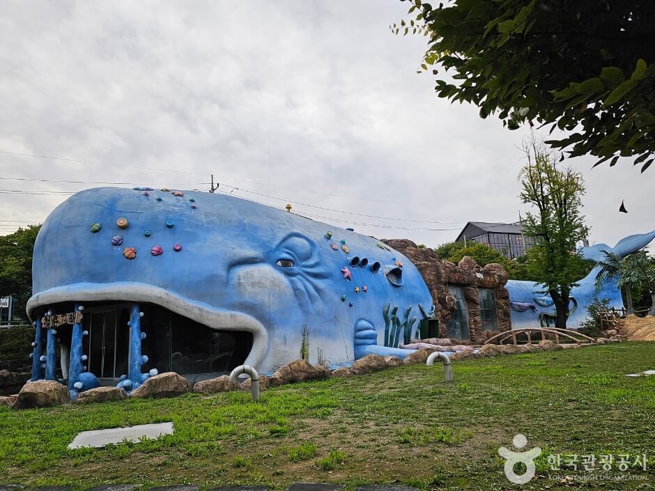 양구 가볼만한곳 베스트 10