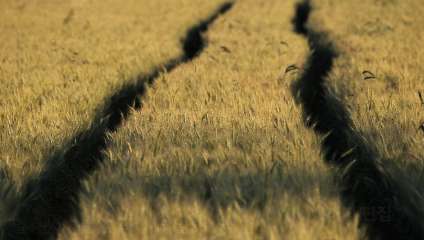 주말농장 분양가격 관련 사진
