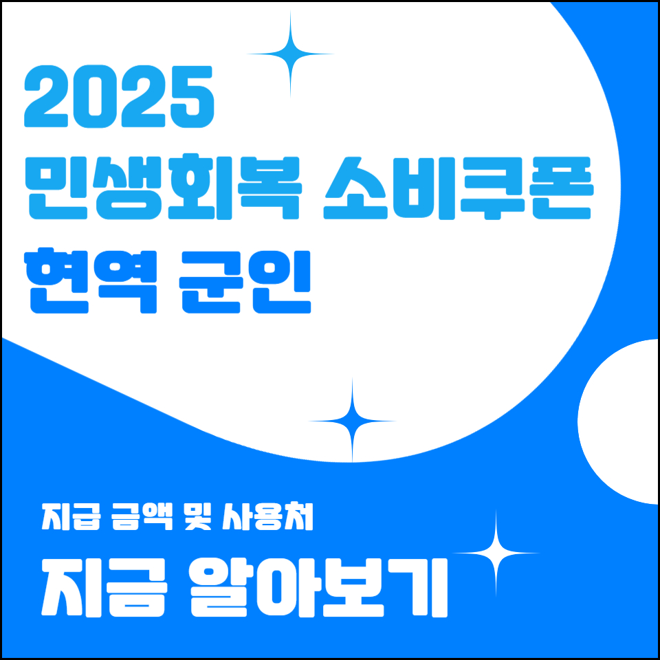 민생회복 소비쿠폰 현역군인 지급내역 사용처 확인하기