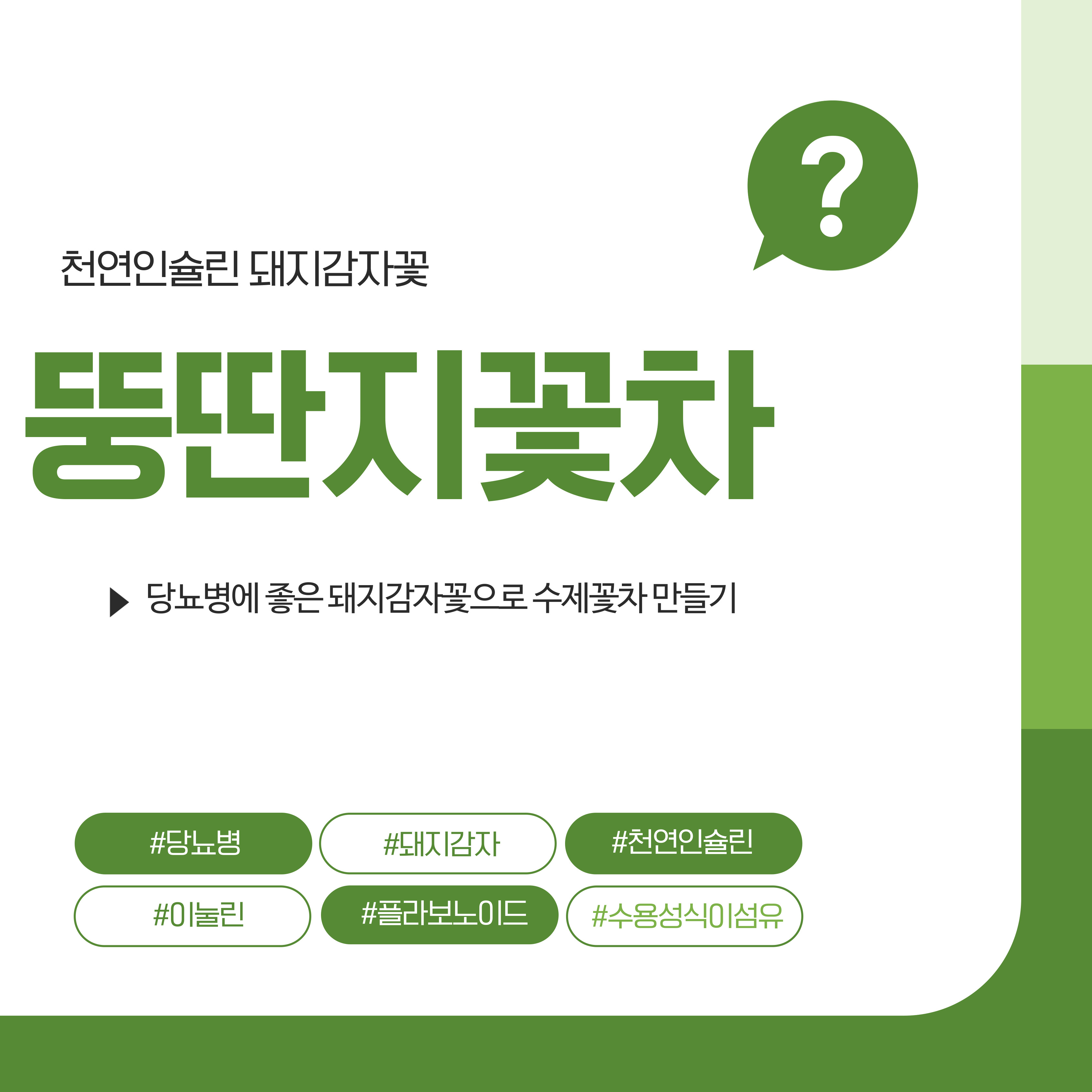 천연인슐린 뚱딴지꽃차