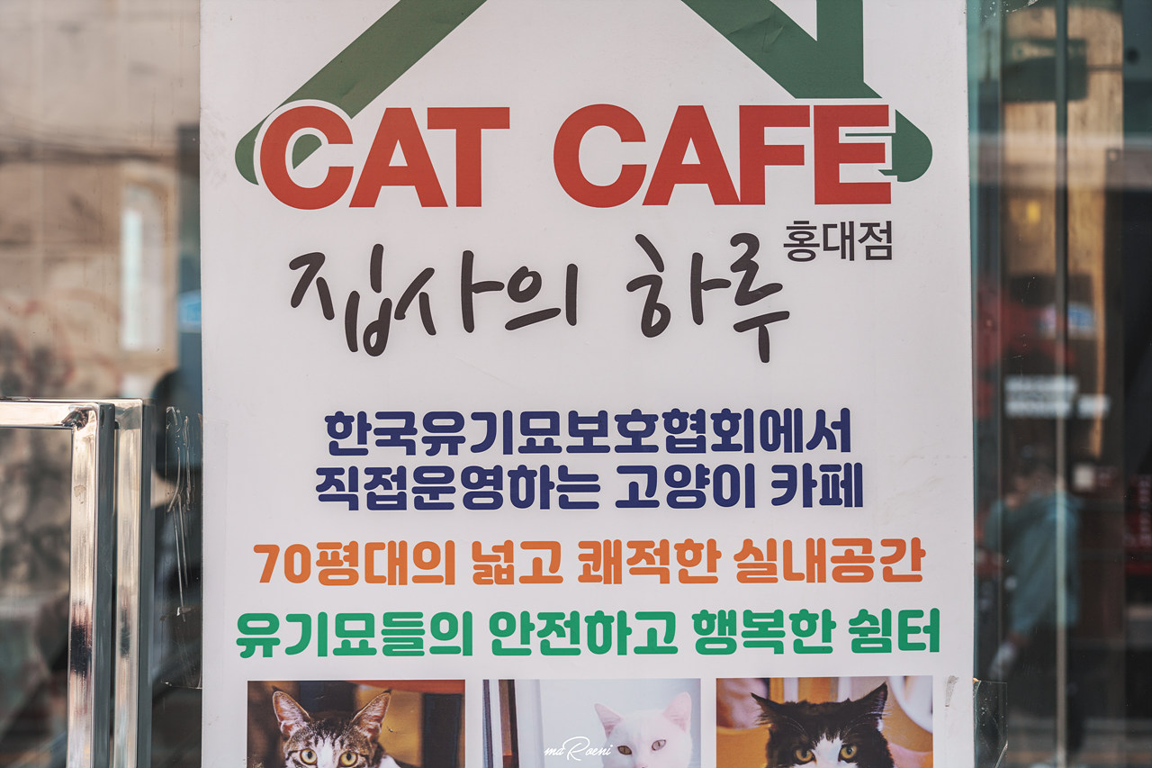 집사의 하루
