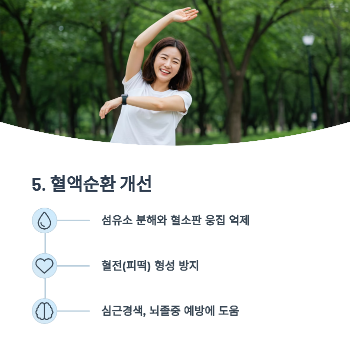 혈액순환 개선