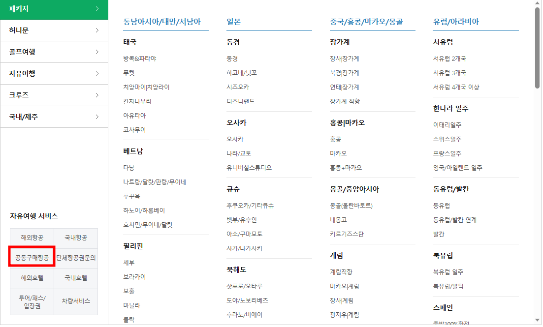 공동구매 항공권 사진