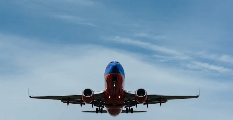 여권없을때 대처법