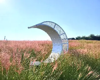 고창 핑크뮬리 축제_21