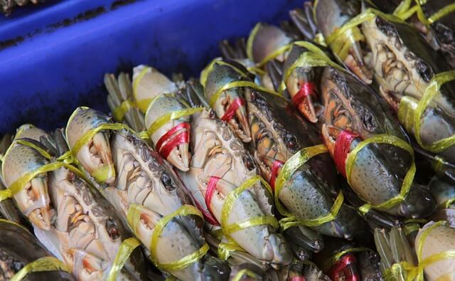 9월 제철 해산물로 즐기는 건강한 식탁