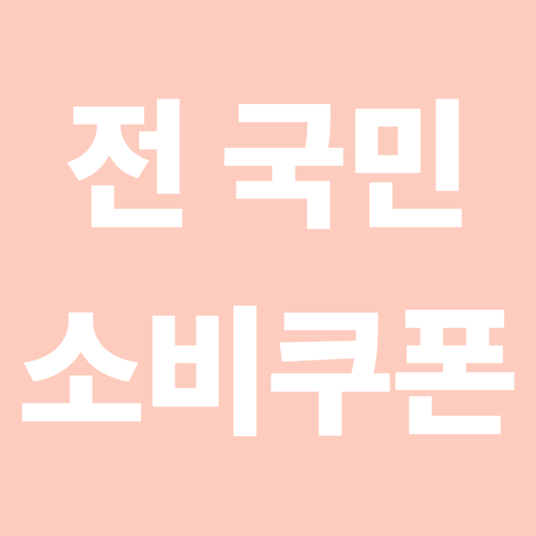 전 국민 소비쿠폰