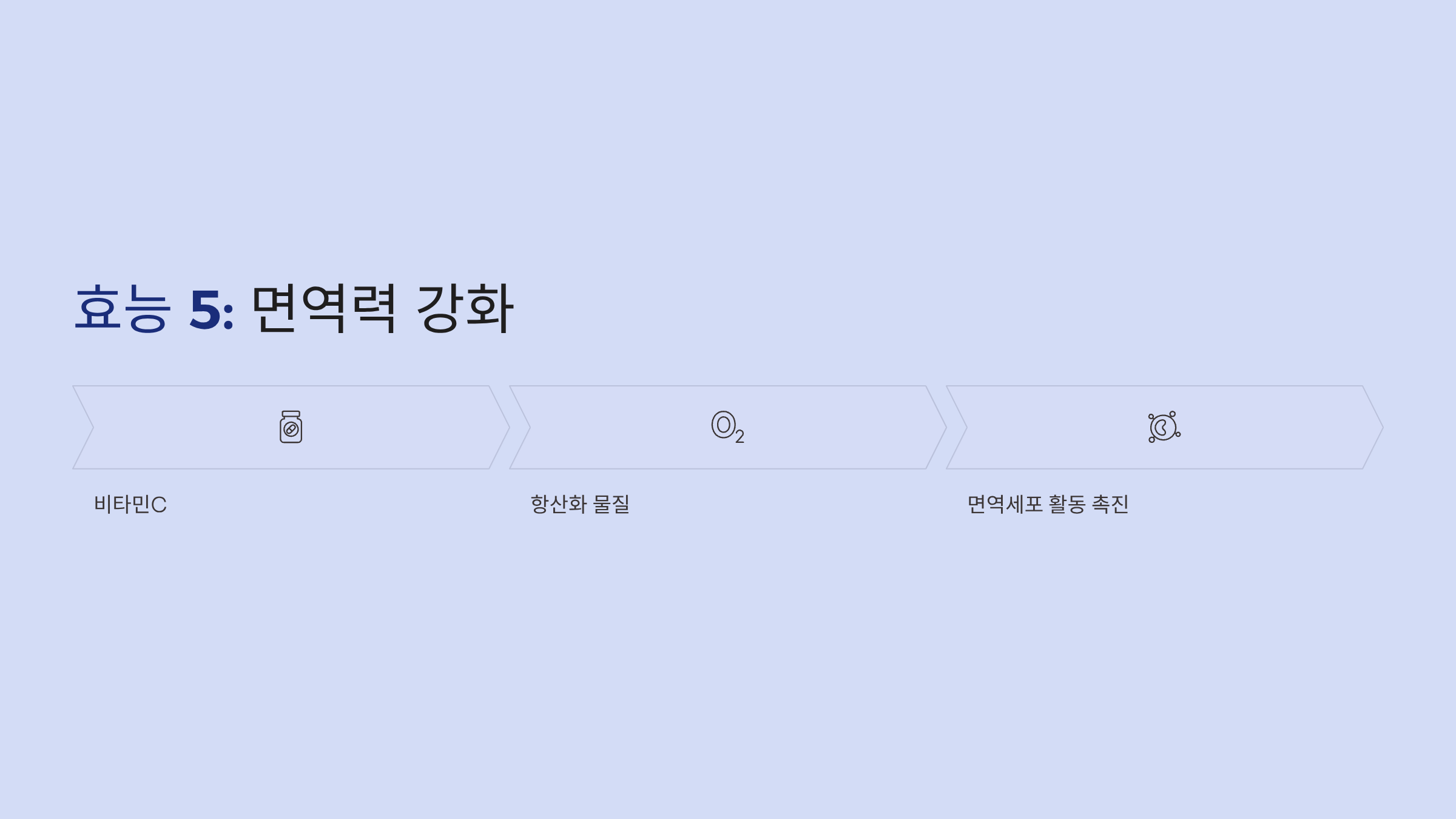 블루베리 사진입니다.