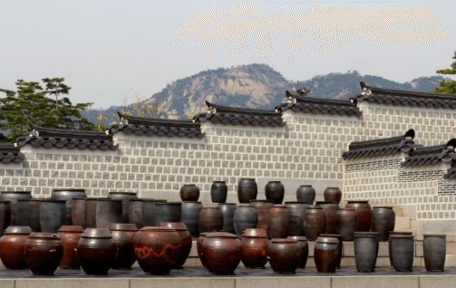 경복궁달빛야행 행사정보유의사항