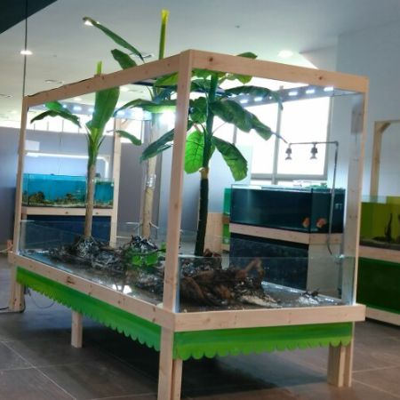 다솜생태체험관