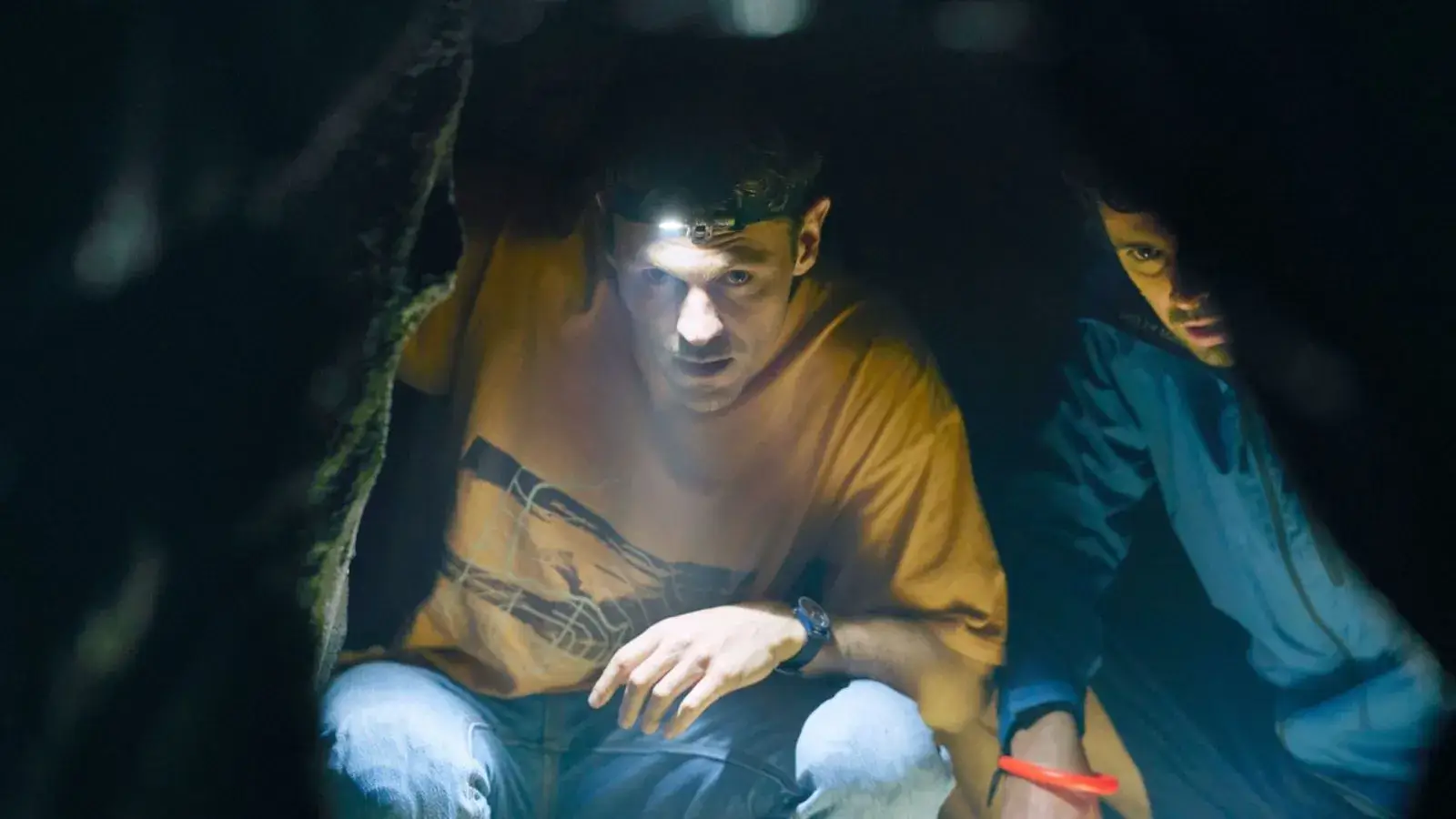 넷플릭스 서바이버스