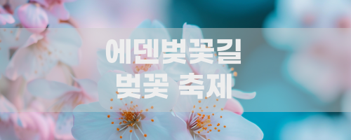 2024년 벚꽃축제