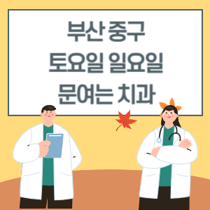 부산 중구 토요일 일요일 치과 진료 병원 리스트