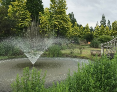 태안 청산수목원 여행지