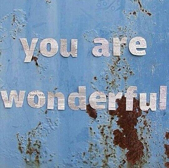 차박용 침낭 &amp; 매트 브랜드 비교표