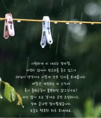 장마철 인사말 모음 예시 멘트_5