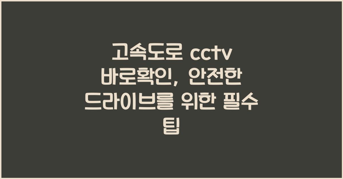 고속도로 cctv 바로확인